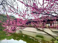 -重庆彩云湖湿地公园
