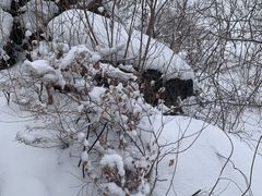 -白水寺森林公园