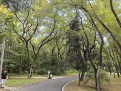 -长春市南湖公园