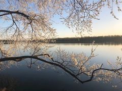 -颐和园