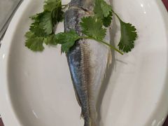 鱼饭-长平肥姐白粥·海鲜打冷