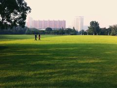 iphone_upload_pic-泰丰公园