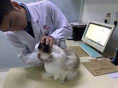 -全心全意连锁动物医院(加州店)