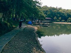 -象山森林公园