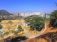 -白石龙音乐公园