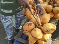 -尼甘布海鲜市场