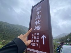 -狮子沟牧场