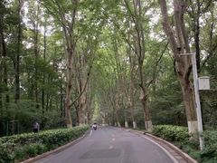 -紫金山山顶公园