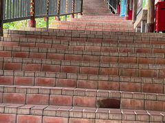 -鲤鱼塘农家山庄