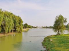 -澹台湖公园
