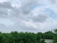 -棠记海鲜餐厅(南朗镇店)