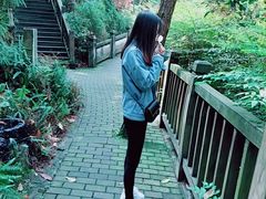 -铁山坪森林公园