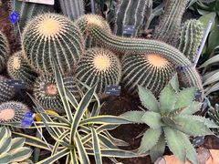 -国家植物园南园