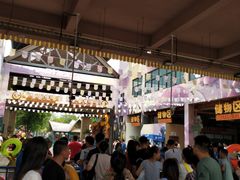 -苏州乐园森林水世界