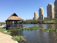 前关湿地公园-前关湿地公园