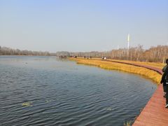 -塞罕坝国家级自然保护区