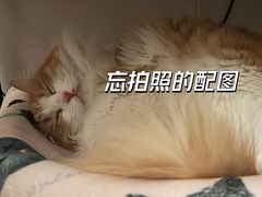 -云之南(八里庄店)