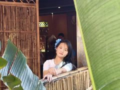 -西双版纳原始森林公园