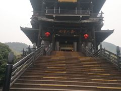 -大唐贡茶院