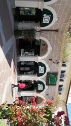 -奇幻丛林(佛罗伦萨小镇店)