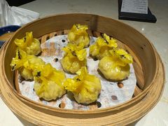 -点都德·毕德寮