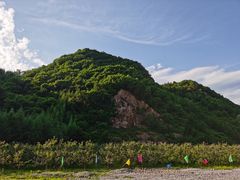 -兰河峪第117加油站