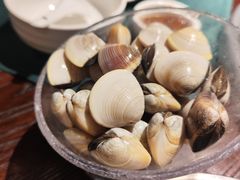 白贝下火锅-大良毋米粥(锦龙路总店)