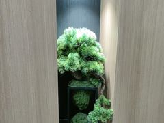 -大鹏饭店·金陵家宴(奥体中心店)