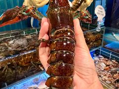 -雍容荟活龙虾自助餐(IFS黑金店)