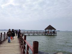 -瑶湖郊野森林公园