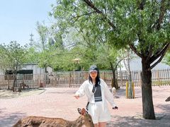 -水上乐园·欢乐世界