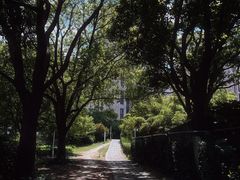 -新江湾城公园