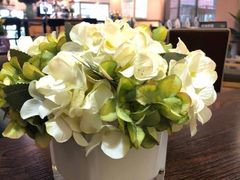 -山之屋炭火烧肉·生啤畅饮(大朗万科中央公园店)