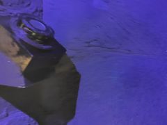 -Xcape异时刻密室逃脱真人NPC(新世界崇文门店)