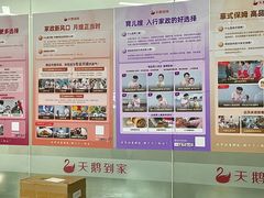 -天鹅到家·保姆月嫂育儿嫂(龙华店)