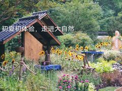 -杭州植物园