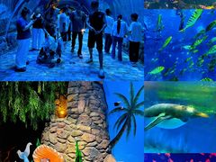 -华夏文旅海洋公园