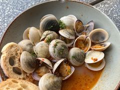 -Apollo·西班牙小酒馆(安福路店)