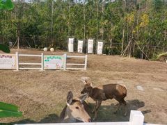 -清远熹乐谷温泉度假酒店