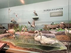 -大庆市博物馆