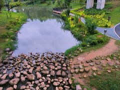 -洋湖国家湿地公园