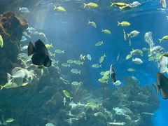 -海合安武汉极地海洋公园