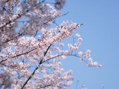 -龙美术馆(西岸馆)