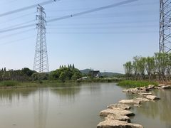 -长田漾湿地公园