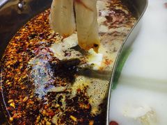 -丰乐斑鱼庄(建业·壹号城邦店)