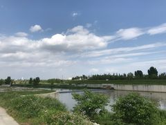 -洨河生态公园