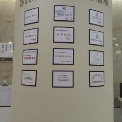 -新生植发·植养护一体