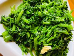 -途肴·老农饭庄(百里峡店)