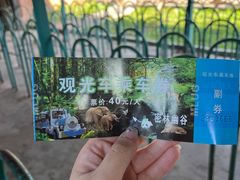 -沈阳森林动物园