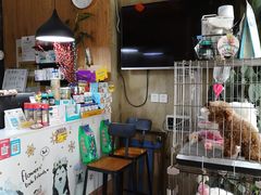 -八公叔叔宠物美容连锁(春申店)